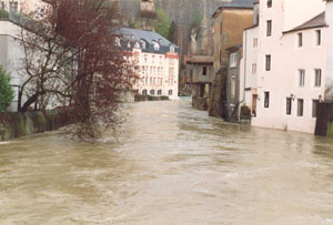 Crue Grund