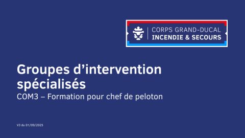 Groupes d’intervention spécialisés