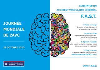 Journée mondiale de l'AVC - Accident vasculaire cérébral